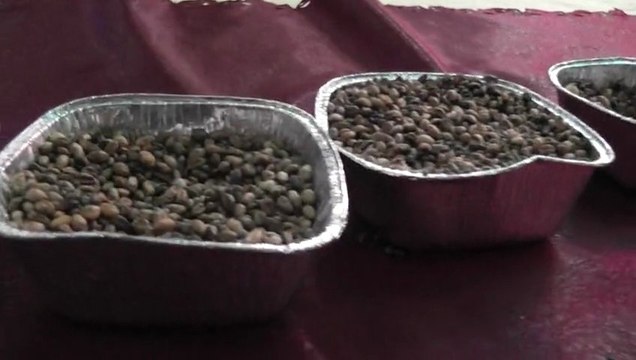 Ayrancı Karaman Kıraman Köyü -Gavurga ve Ne söylesem boşa leyla