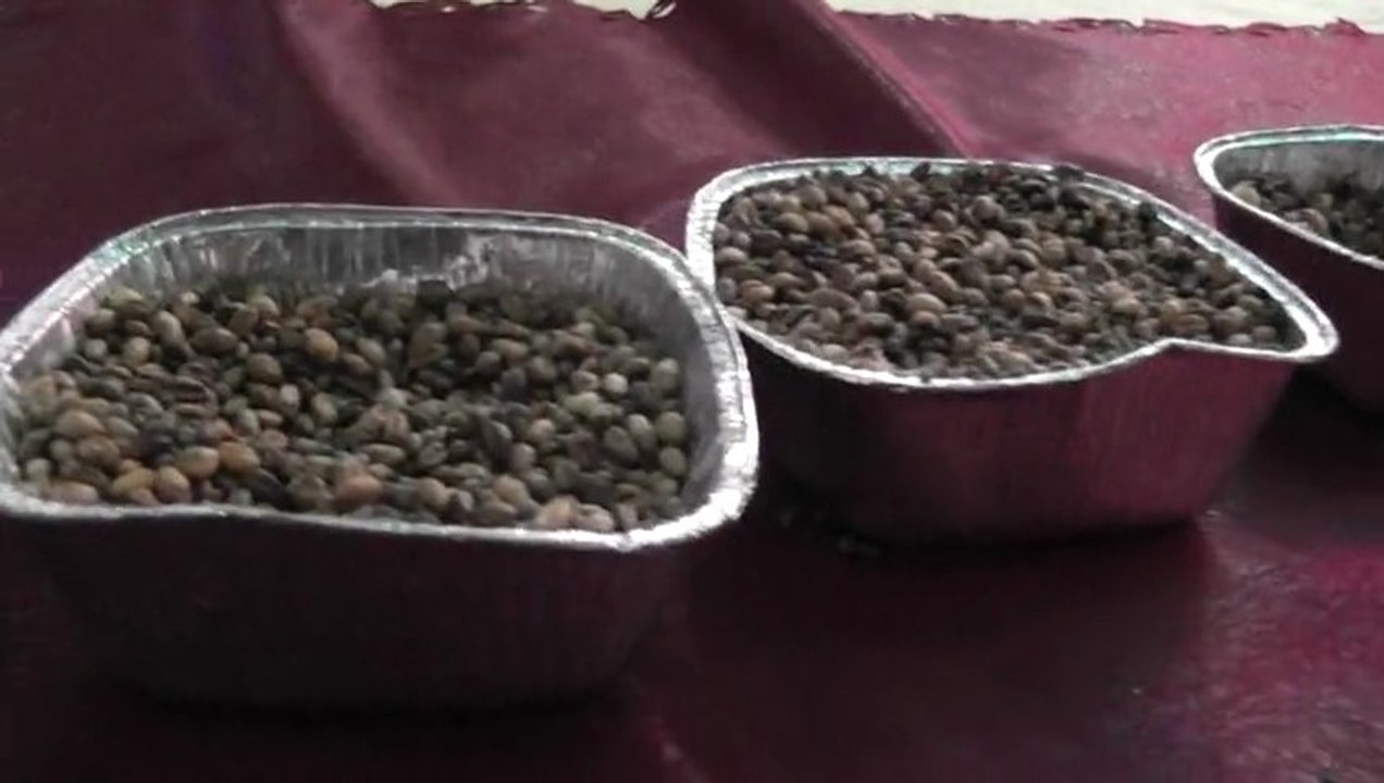 Ayrancı Karaman Kıraman Köyü -Gavurga ve Ne söylesem boşa leyla