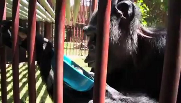 라이브카지노 ♠♣B­A­C­6­6­6­.ＣＯＭ ⇒ ♠ 라이브카지노