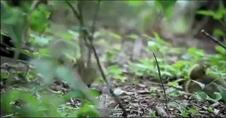 생방송카지노 ♠♣B­A­C­6­6­6­.ＣＯＭ ⇒ ♠ 생방송카지노