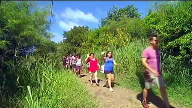 St-Paul : Bassin des Cormorans