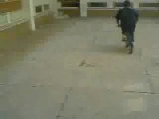 LA CROISIERE S'AMUSE