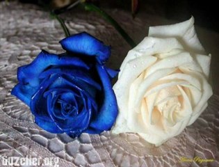 Cevdet BAĞCAN--SENİN İÇİN