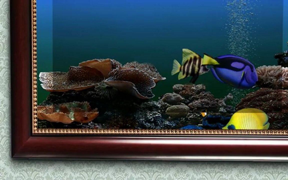 my fish Carlos Tovar