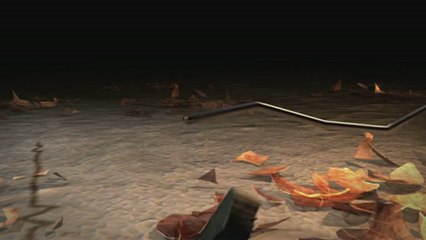 Remise des diplomes DESFA 2012