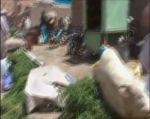 Souk Rissani 2012-marché bestiaux