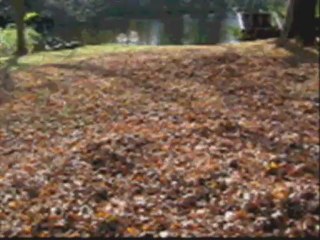 Mountains by Harvey Cash / video by Robert Segarra