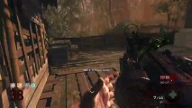 Call Of Duty Black Ops- Zombies: Shangri-La: Round 40 Commentary Gameplay