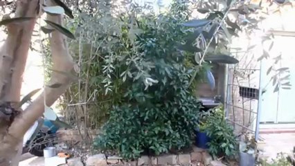 Vente villa de plain-pied La Garde 83130 Var T3 entierement renove - Proche Pont de Suve