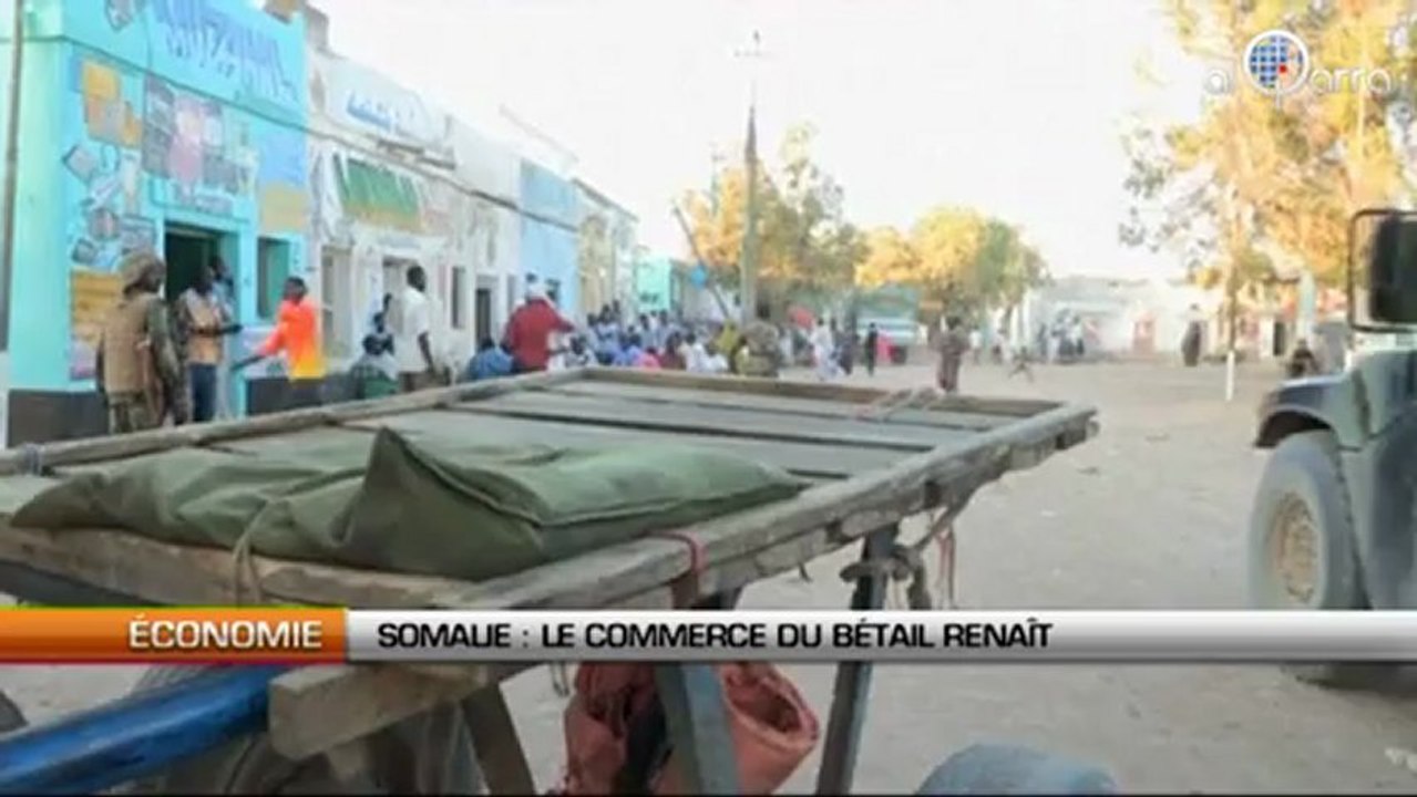 Somalie : Le commerce de bétail renaît
