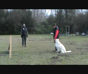 entrainement     El-diablo   23.02.2013