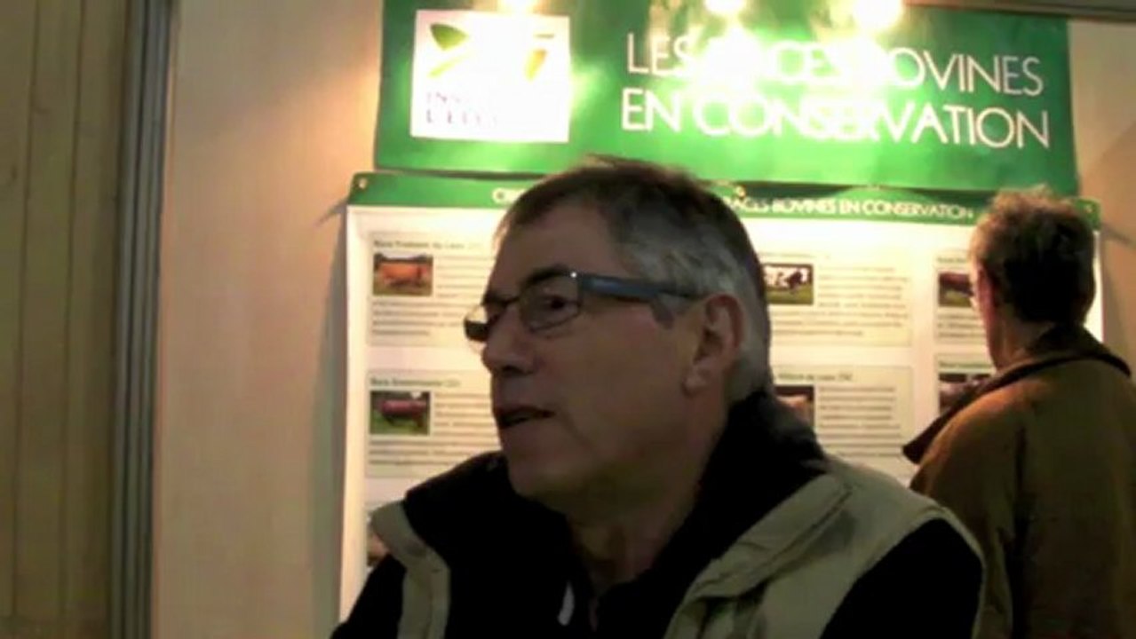 SIA 2013: la vache maraichine