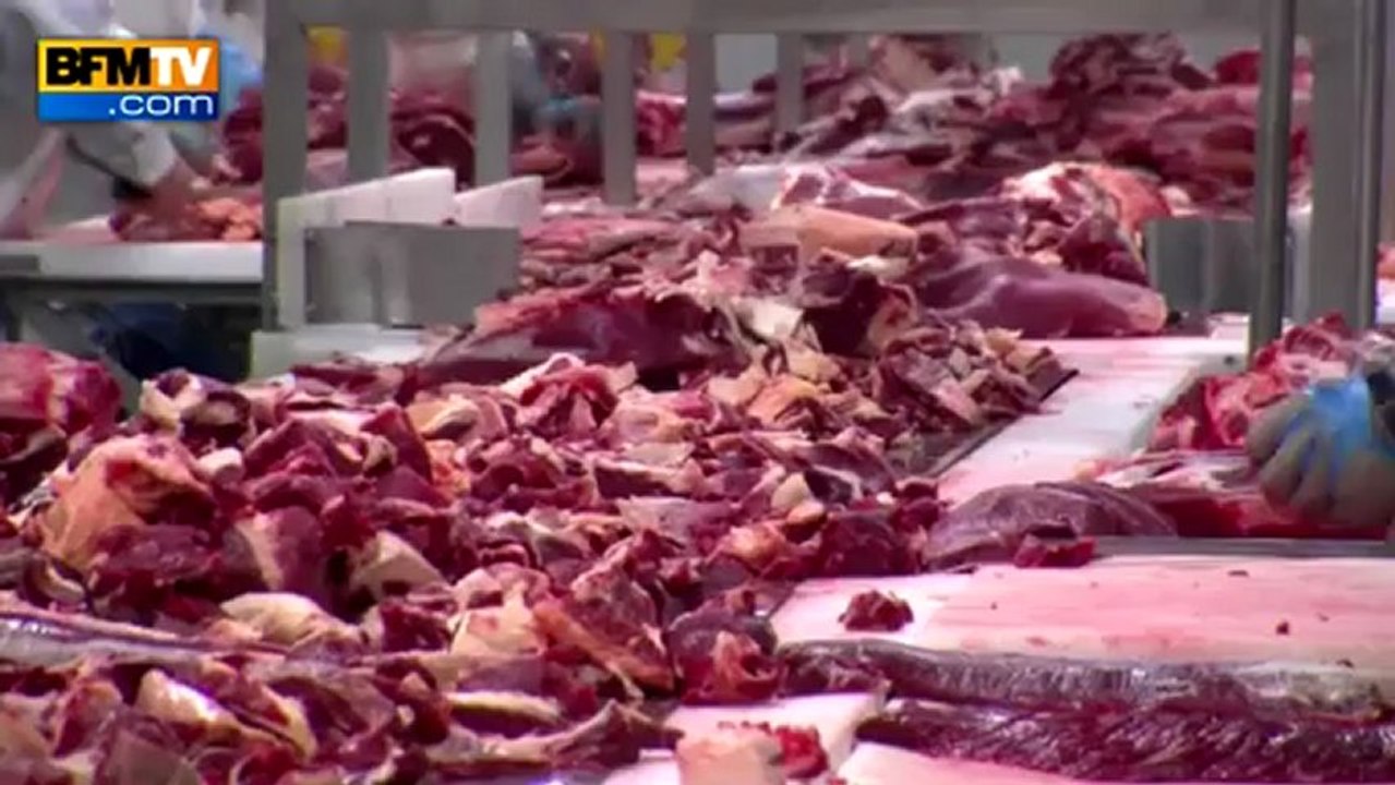 Viande de cheval: le point sur les marques et les enseignes concernées - 27/02