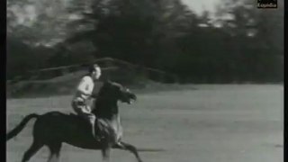 Rare...J.d'Orgeix sur Sucre de Pomme son cheval olympique