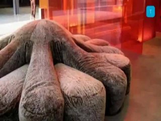 Global trends by Future Concept Lab