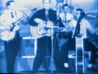 Elvis Presley   Can't help falling in love