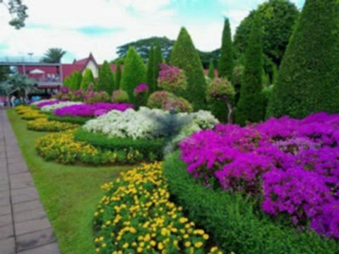 Nedim varol, Tufanbeyli, Adana. (Birgül yiğit.2013 )