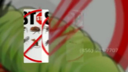 Stephen's Exterminating LLC (856) 983-7707