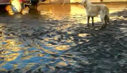 Cyclone HARUNA à TULÉAR Dimanche 24-02-2013 à 12h31