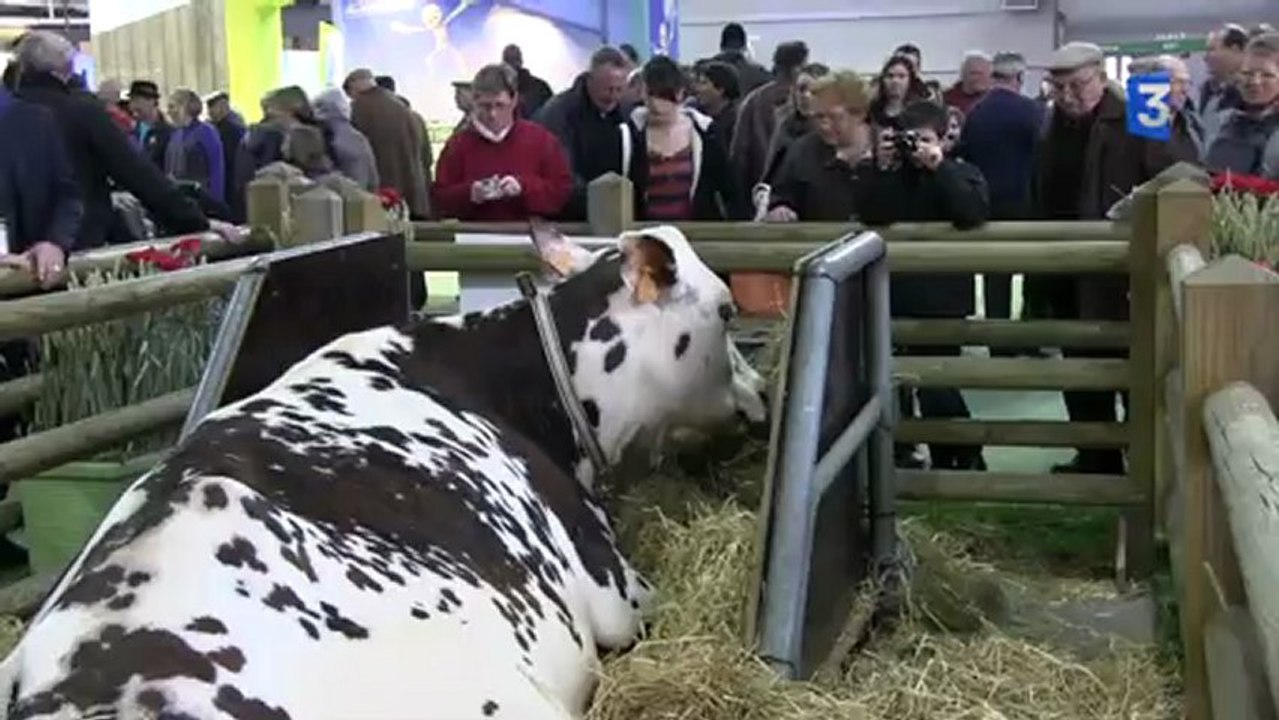 SIA 2013 : Aronde, imposante, mais fatiguée ?