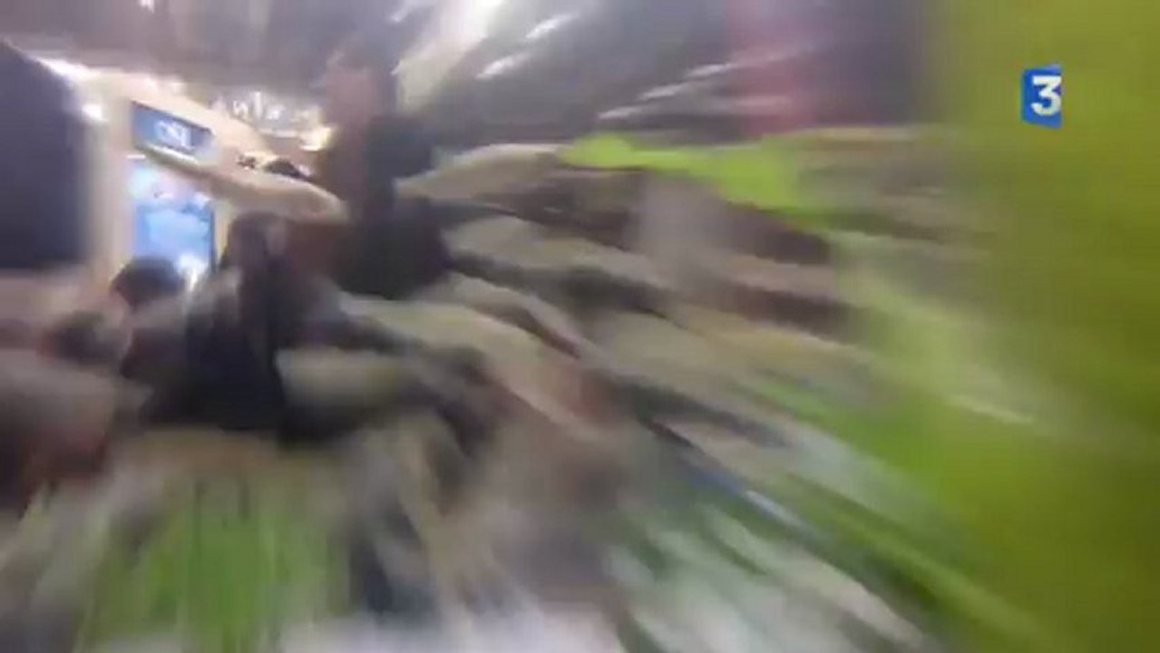 SIA 2013 : Séquence rock en immersion au Salon de l'Agriculture