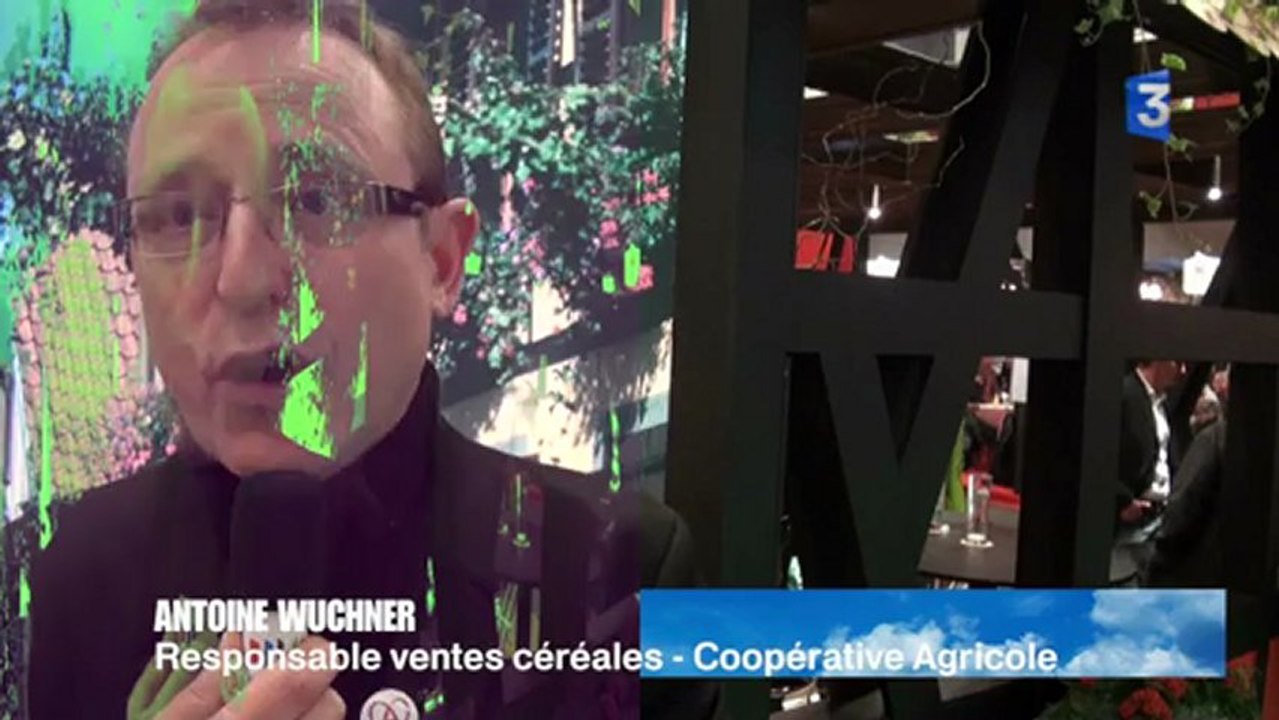 SIA 2013 : La concurrence du houblon alsacien en France