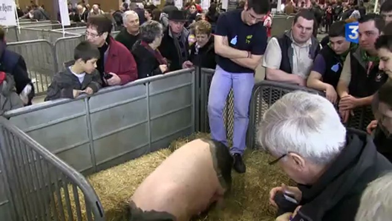 SIA 2013 : Galilée, une mascotte à mi-parcours