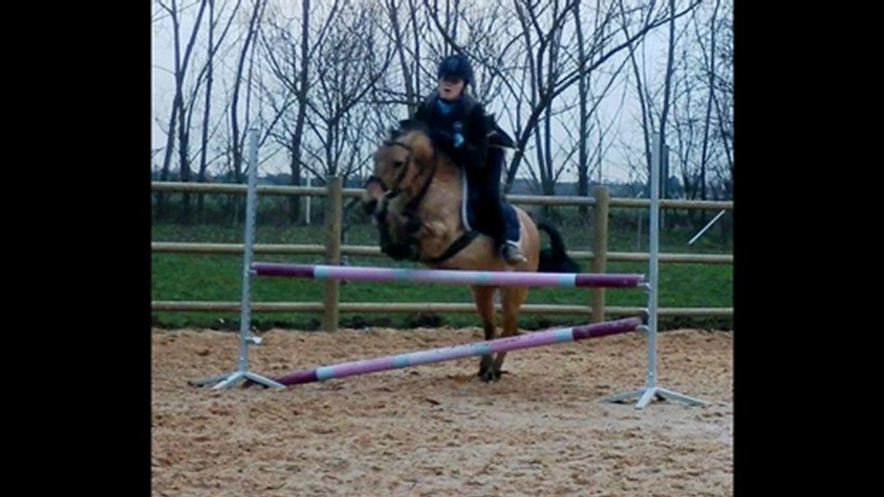 saut 80cm