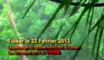 Cyclone HARUNA à TULÉAR Ven 22-02-2013 à 15h06