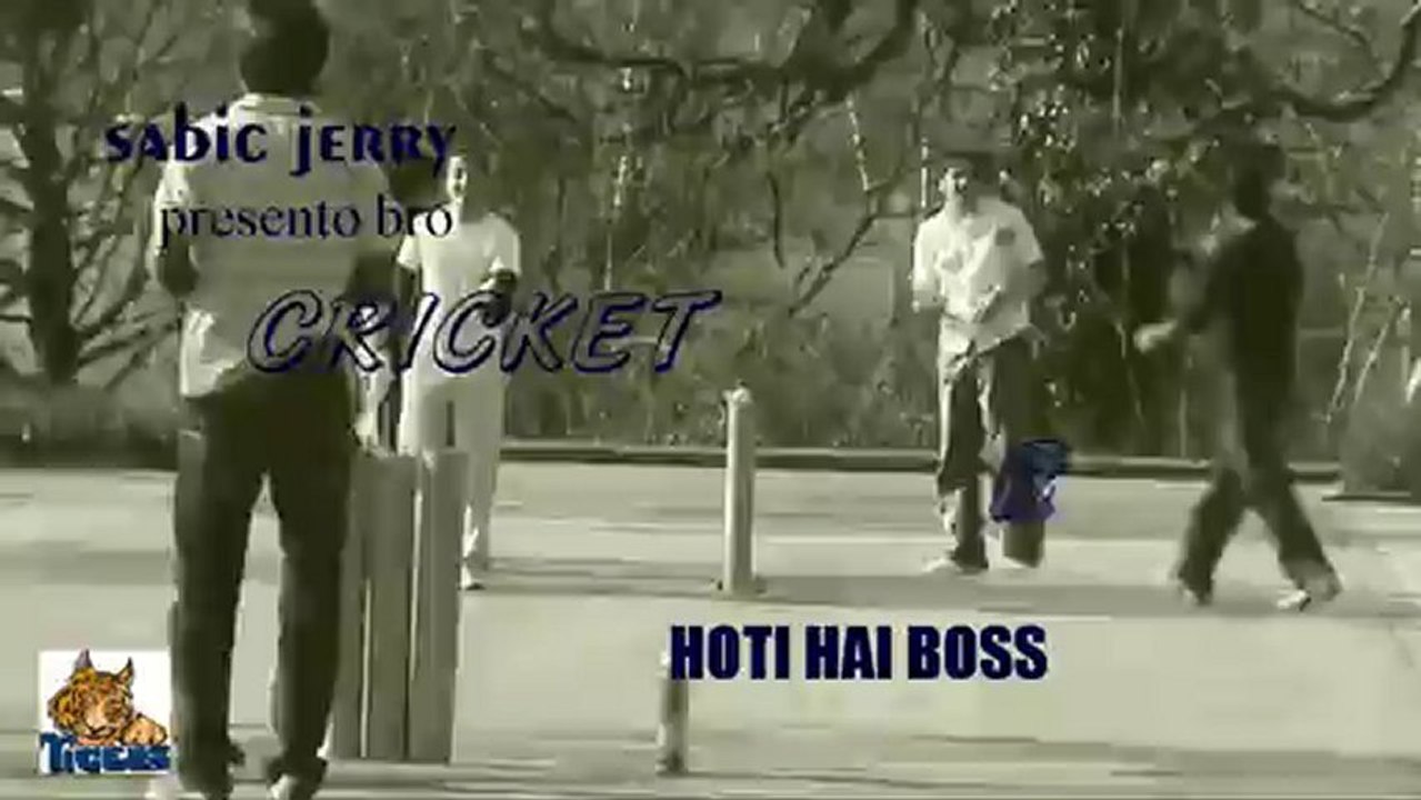 cricket cricket hoti hai