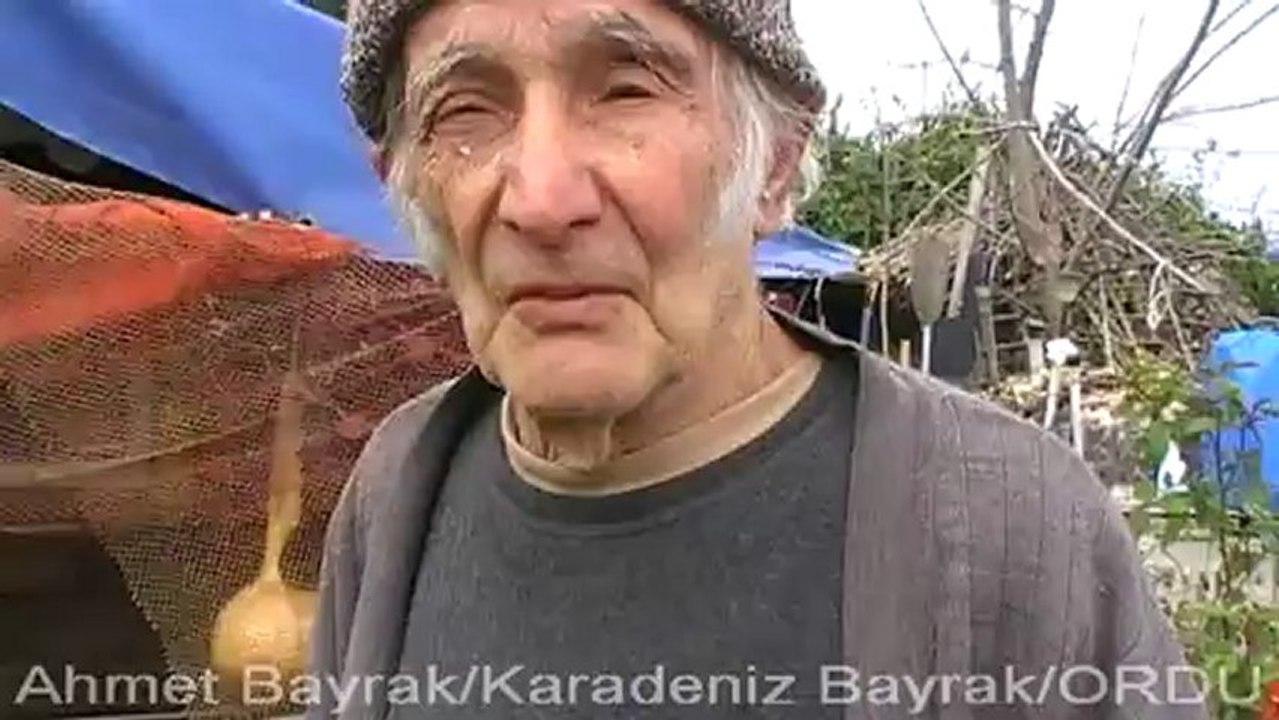 TAVŞAN MAHKEMELİK OLDU-KARADENİZBAYRAK-ORDU