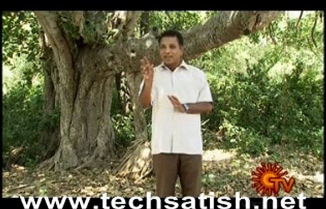 Sapthanimidangal