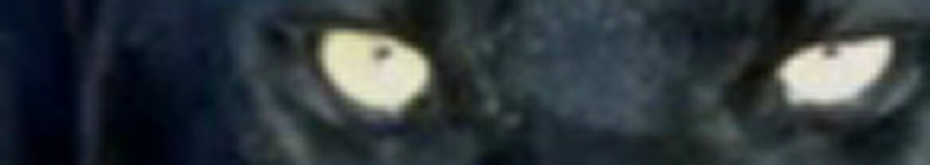 Lamp Based Website Throwing And Its Gives You