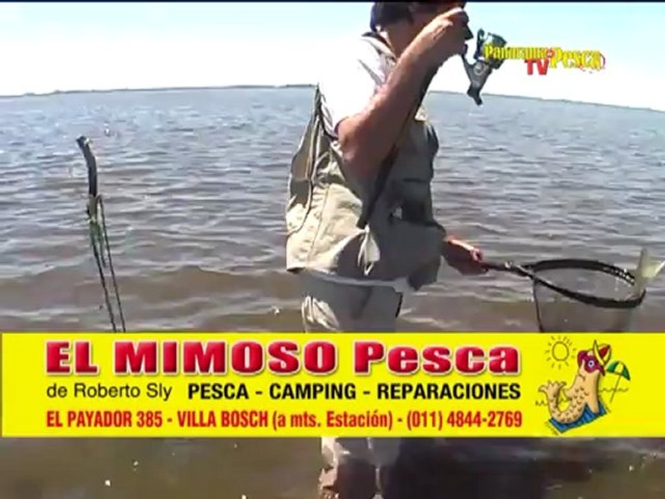 Panorama TV 115