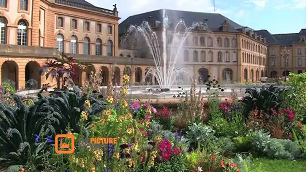 Collection Michel Laurent