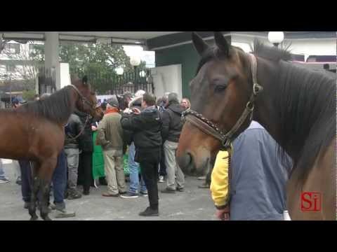 Napoli - Ippodromo, a rischio 5mila famiglie 1 (27.02.13)