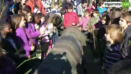 Caga Tió de Castellfollit de la Roca 2012