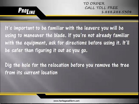 Relocating Established Trees With Tree Transplanting Equipment