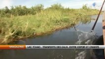 Lac Tchad : Transfert des eaux, entre espoir et crainte