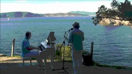 Salsa & Latin Jazz Musician