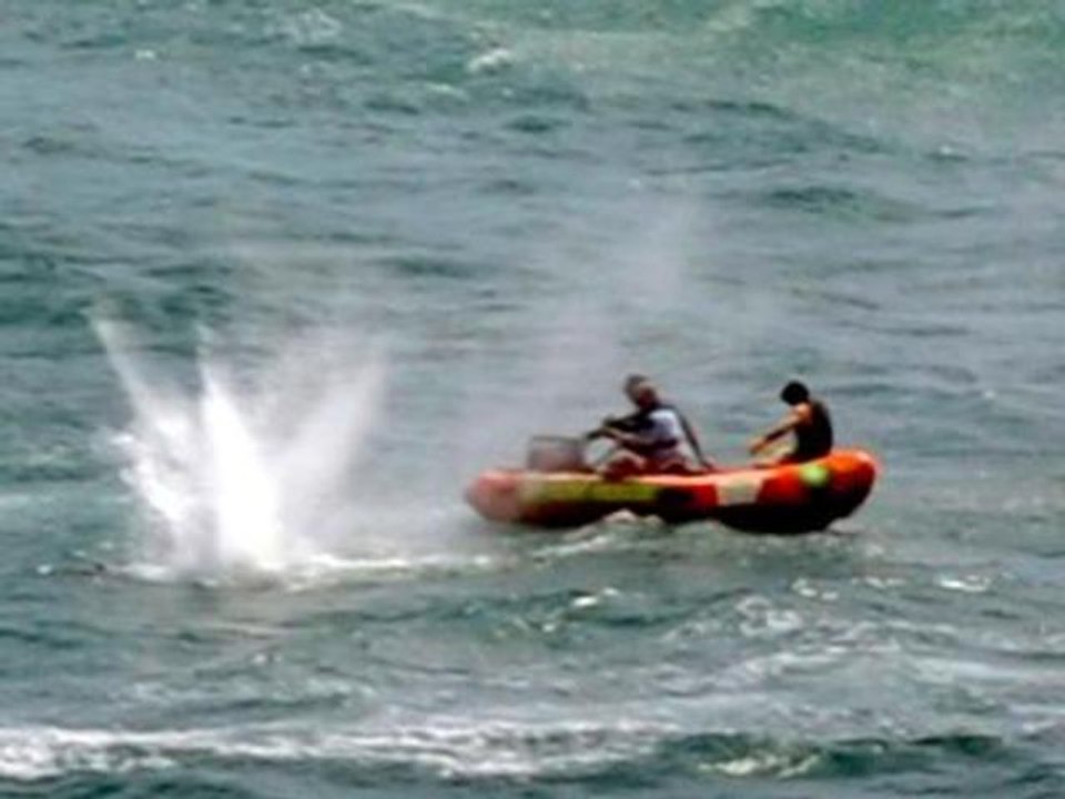 Large shark kills man in New Zealand