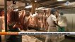 Afrique du Sud : De la viande d’âne dans les assiettes
