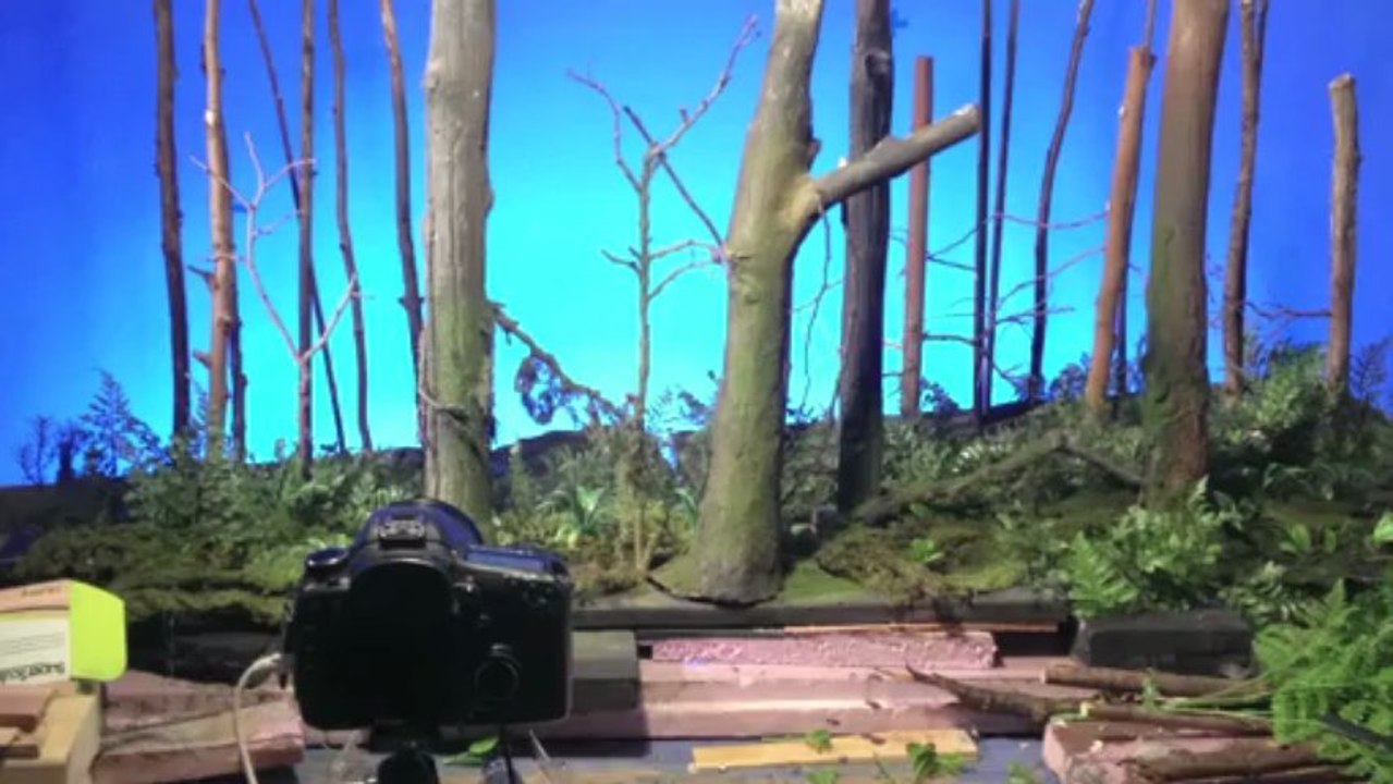 Behind The Scenes- The Glory