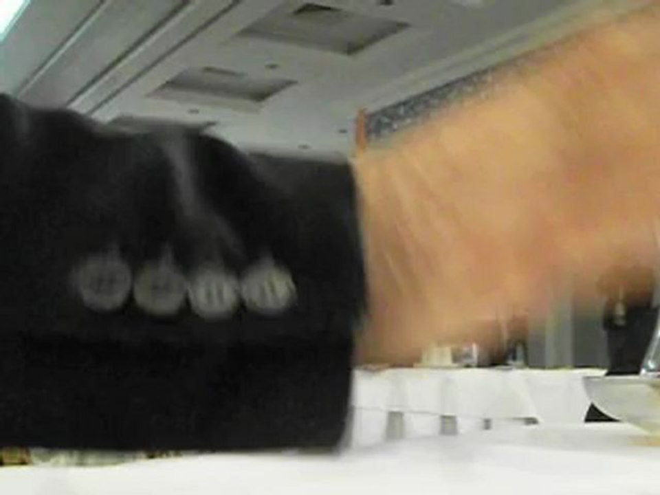 istanbul bal üreticileri birliği olağan mali kongresi