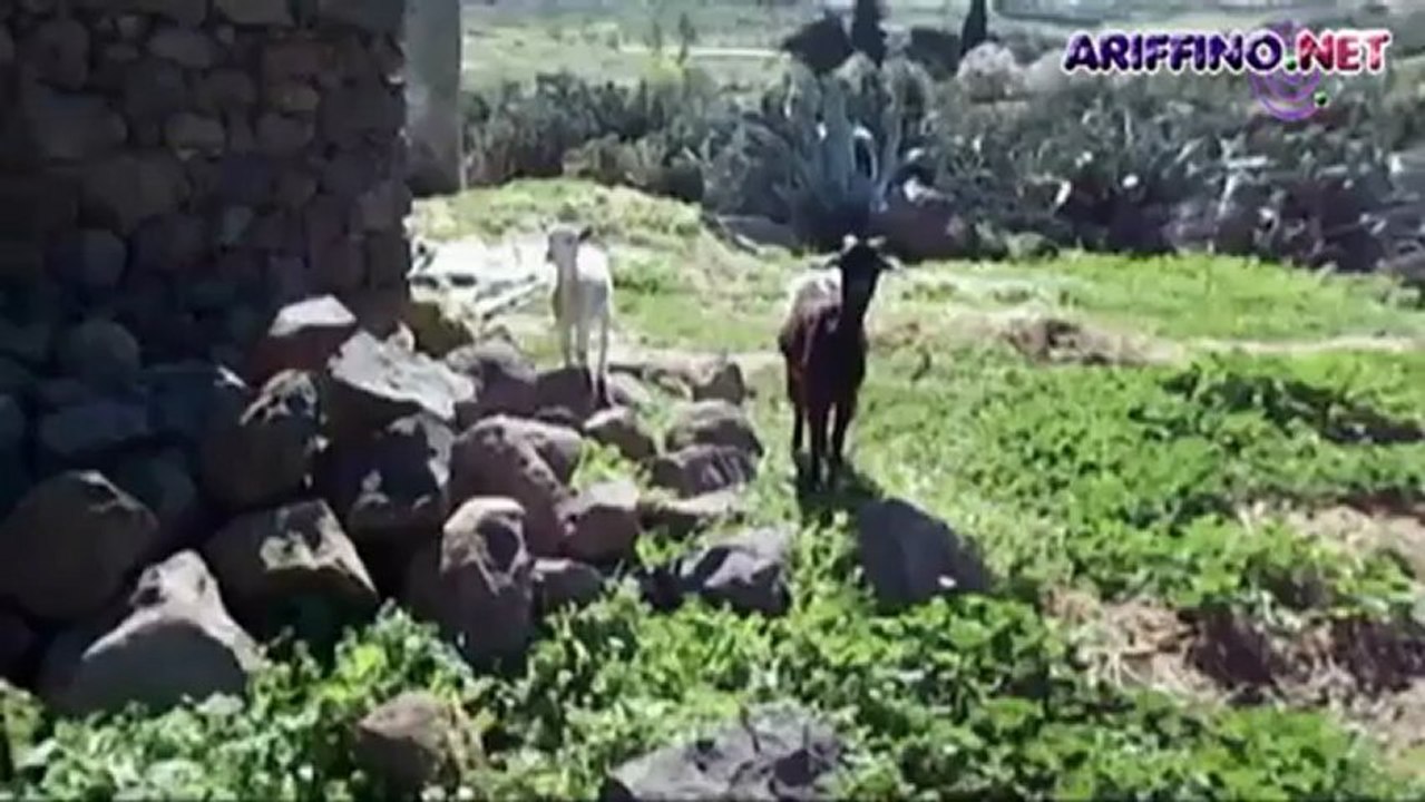 يوميات جحتوت (الجزء الثاني) الحلقة - 17