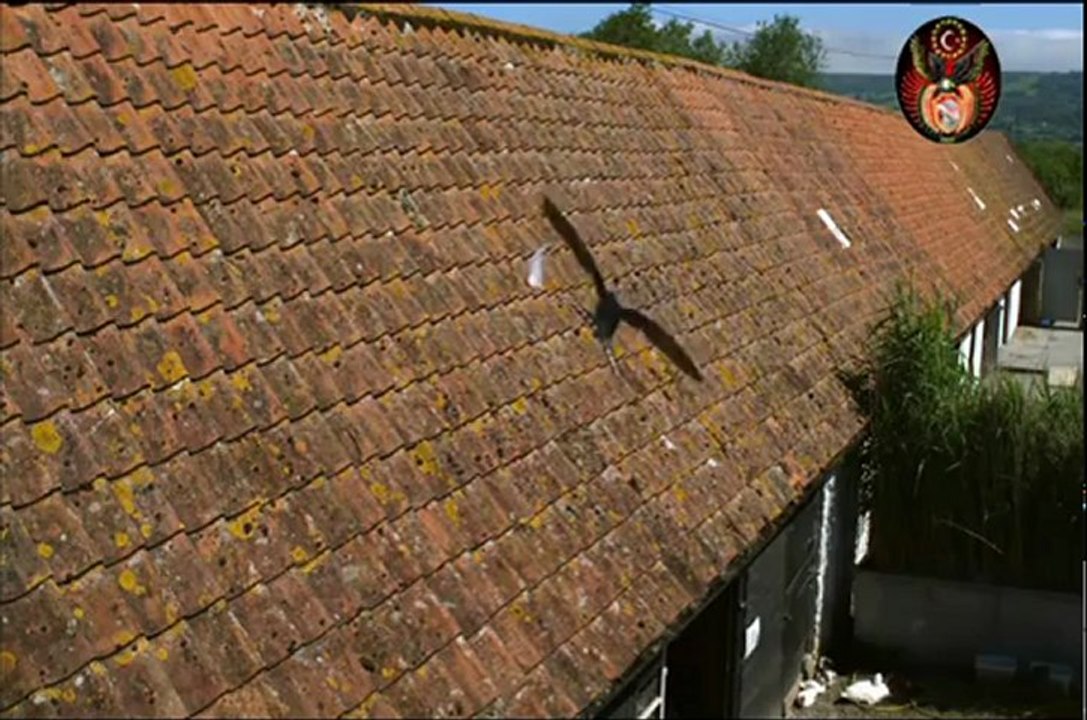 Kuş Bakışı Dünya 03 (Avrupa)