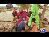 Geo FIR-26 Feb 2013-Part 1-Hunger mount as wheat corruption rises in Badin, Part 01.
