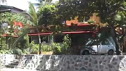 Bambou Virieux (île Maurice) sur www.mauritiusisland.fr