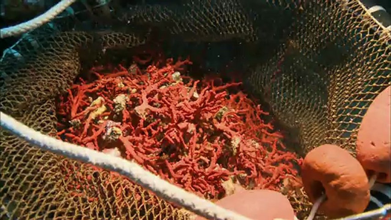 NOMADES TV LesTravailleurs de la mer suite