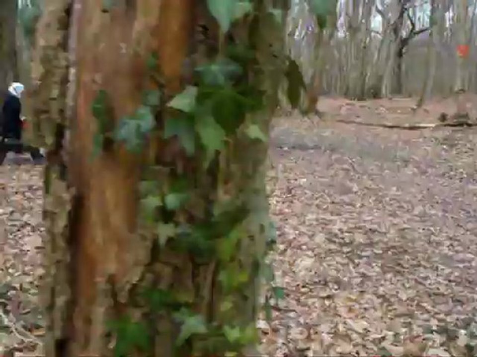 Fantic Caballero Thomas 9ans et demi apprend sur un petit anneaux